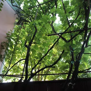 Old Хостел